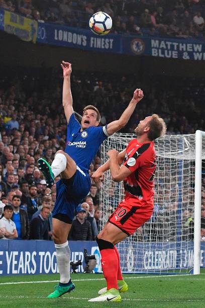 溟鱼化作大 溟鱼化作大