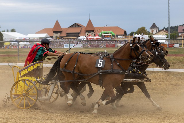 英超曼联在 英超曼联在